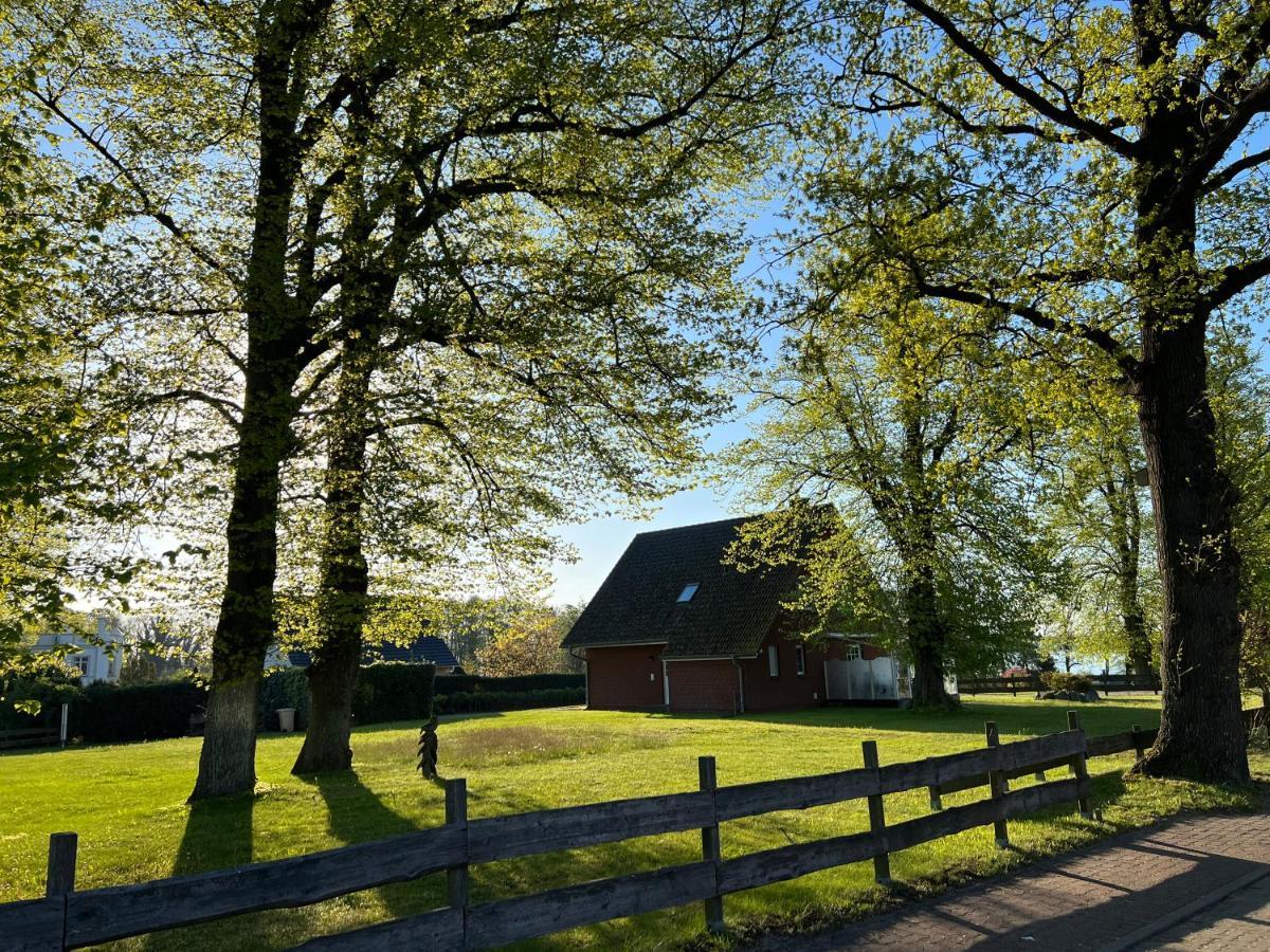Wieckblick 17b *